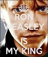 Quelles informations, sur Ron Weasley, sont exactes ?