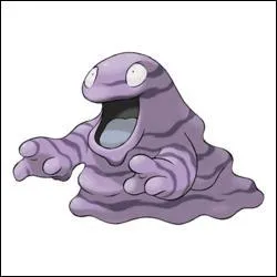 Quel est ce Pokémon ?