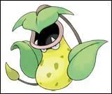 Quel est ce Pokémon ?