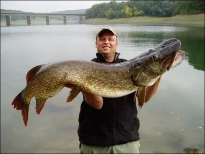 Dans quelle mer peut-on pêcher aussi bien des poissons de mer que des poissons d'eau douce ?