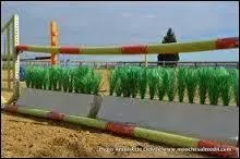 Quel est le nom de cet obstacle ?