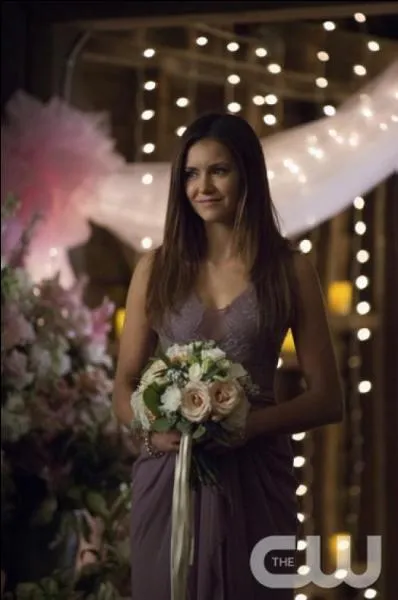 NIna Dobrev joue une dernière scène avec Ian Somerhalder : laquelle ?