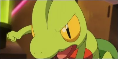 Qui est ce Pokémon ?
