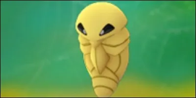 Comment s'appelle-t-il ?