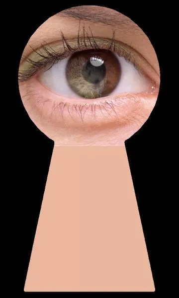 Selon le titre du roman de Muriel Barbery paru en 2006, quel animal est associé à "l'élégance" ?