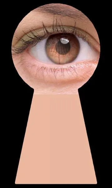 Au rugby, avec quelle partie du corps la remise en jeu s'effectue-t-elle lors d'une touche ?