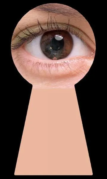 Quel animal est "Bagheera" dans "Le Livre de la jungle" ?