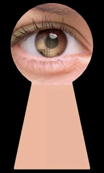 Quel objet "à spirale" William Sheller a-t-il chanté en 1976 ?