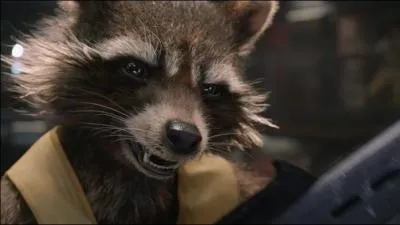 Qu'a fait Rochet pour s'évader ?