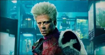 Quel méchant n'y a t-il pas chez le collectionneur ?