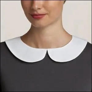 Comment appelle-t-on ce type de col ?