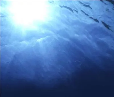 Où se trouve son palais ?