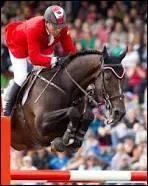 Qui est le KWPN bai du CSO ?