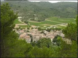 Nous partons faire un petit tour dans les Corbi&egrave;res, &agrave; la d&eacute;couverte de la commune Audoise de Coustouge. Nous serons en r&eacute;gion ...