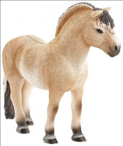 Dans la vraie vie, cette race est ma préférée. Savez-vous comment elle s'appelle ?