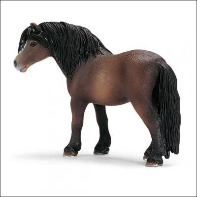 Pauvre cheval, il a oublié de quelle race il était ! Aidez-le !