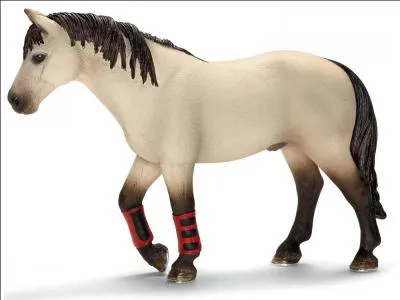 Oh non ! Un trou de mémoire et je ne me souviens plus de son nom.