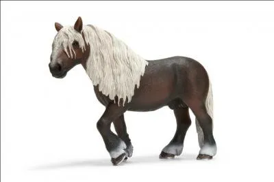 Waouh ! Ce cheval est magnifique mais je ne connais pas sa race ! Aidez-moi !