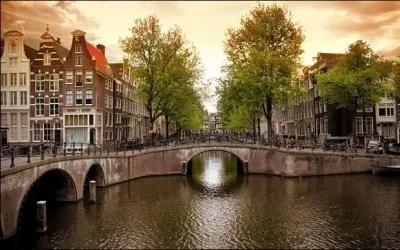 Augustus, désireux d'en apprendre plus sur ce livre qu'il juge énigmatique, envoie un e-mail à Peter Van Houten et demande à le rencontrer. Ce dernier accepte. Dans quelle capitale européenne habite-t-il ?