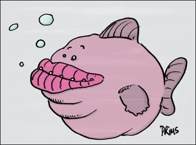 Le plus gros mammifère marin est...