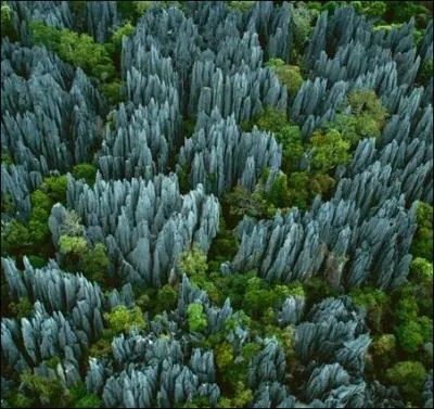 Le relief ciselé de la réserve naturelle intégrale du Tsingy de Bemaraha abrite des espèces animales et végétales rares. 
Où se situe cette véritable forêt minérale ?