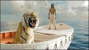 Une histoire incroyable d'un jeune adolescent de 17 ans qui va vivre un horrible naufrage. Lui seul s'en sortira, enfin pas si seul que ça... Un horrible tigre se retrouve dans le bateau de sauvetage avec lui ! C'est le film :