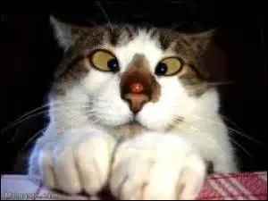 Je n'ai pas assez dormi cette nuit, je n'ai pas... en face des trous.