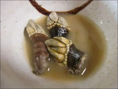 Arnold est arrivé comme un... sur la soupe alors que nous abordions le sujet délicat des augmentations.