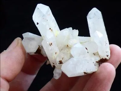 En l'an 2218, la population humaine vit dans une cité hermétique, où personne ne peut vivre au-delà de 30 ans !