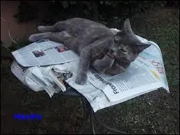 Certains matins, il reçoit des nouvelles fraîches !