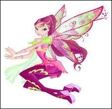 Qui a le Bloomix non officiel ?