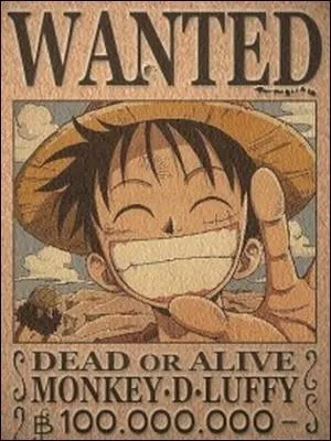 Épisode 130 - Après les événements d'Alabasta, quels membres de l'équipage font l'objet d'une prime ? (entre une et quatre réponses, cette fois-ci ! )