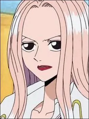 Épisode 128 - Deux anciens ennemis de l'équipage de Luffy ont rejoint Hina. Qui sont-ils ?