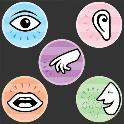 Qu'est-ce que l'agueusie ?