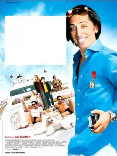 Quel film présente cette affiche ?