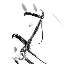 Cite la partie que l'on retrouve sur le filet.