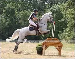 Dans quelle position est-on quand on saute un obstacle ?