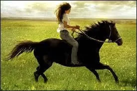 Quand tu tournes avec les deux rênes dans une main, on dit que tu tournes...