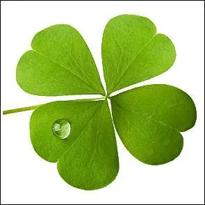 Composé chimique de synthèse comprenant deux groupes, le "A" étant une matière plastique :