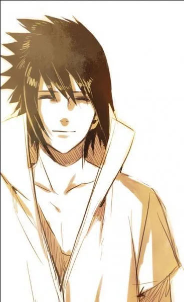 Je suis un garçon qui rêve d'être le meilleur sabreur au monde :