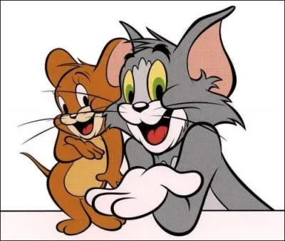 Que font Tom et Jerry à longueur de journée ?