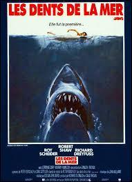 Commençons par un film très connu : "Les dents de la mer" de Stephen Spielberg, sorti en 1975. Comment s'appelle la ville fictive où se déroule l'action du film ?