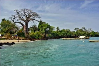 Passons maintenant sur la côte ouest du continent africain. Lequel de ces pays n'est pas bordé par le golfe de Guinée ?