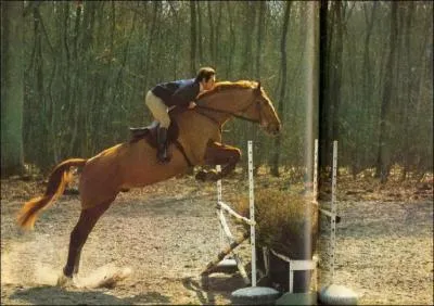 Quel est cet obstacle ?