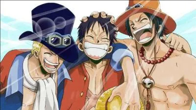 Est-ce que Sabo, le frère de Luffy et Ace, est toujours vivant ?