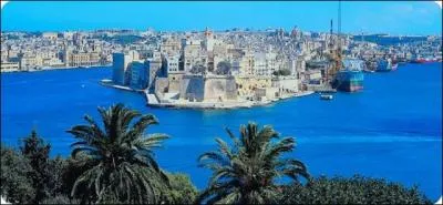 Quelle est la première langue officielle à Malte ?