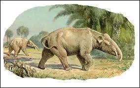 Lequel de ces animaux préhistoriques est l'ancêtre de l'éléphant ?
