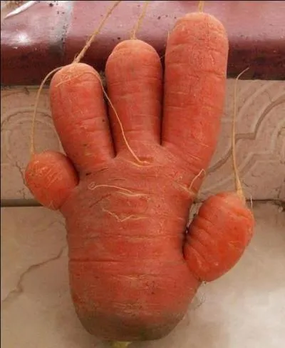 C'est ton... ou ta... ?