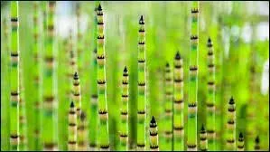 Qui convient exactement à la situation :