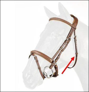 Comment est appelée cette partie du filet ?